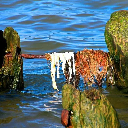 1-bedroom Feriehus *