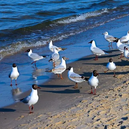 1-bedroom Heringsdorf (Usedom)